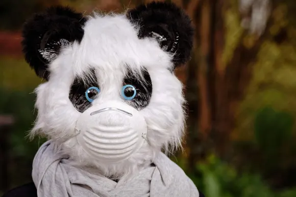 BetOriginal Casaíne Tacaíocht